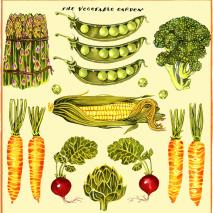 VegetableGarden