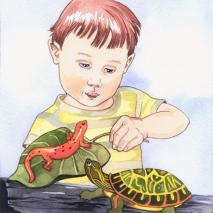 Boy Salamander Turtle