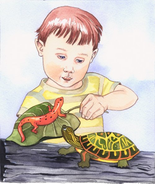 Boy Salamander Turtle