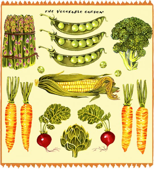 VegetableGarden